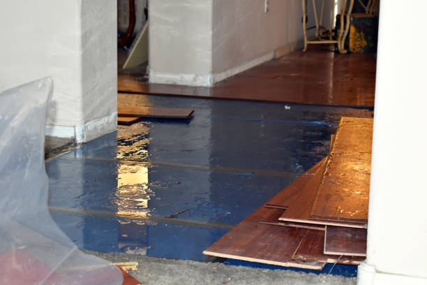 Professional Basement Flood Cleanup technician working in Byram, CT